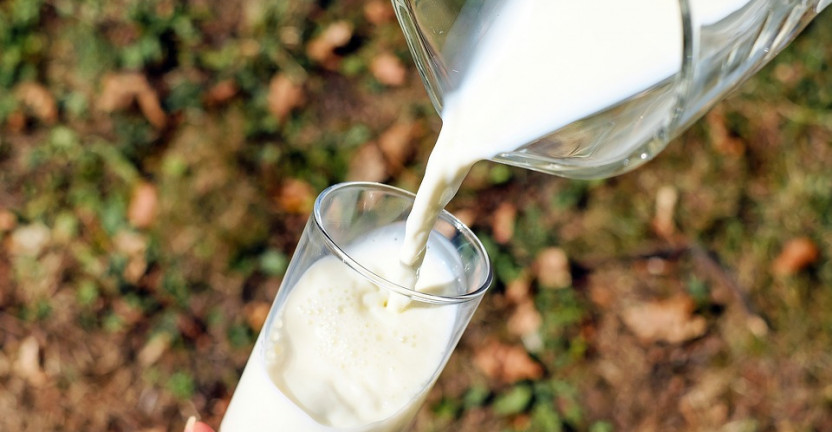 Средние потребительские цены на молоко в январе 2021 года